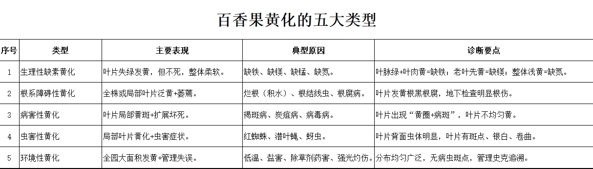 百香果苗黄化的五大类型